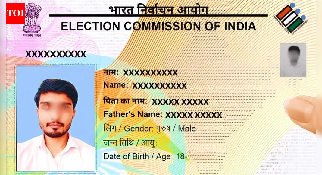 Hack of the day: Need a digital copy of your voter card? Do it instantly