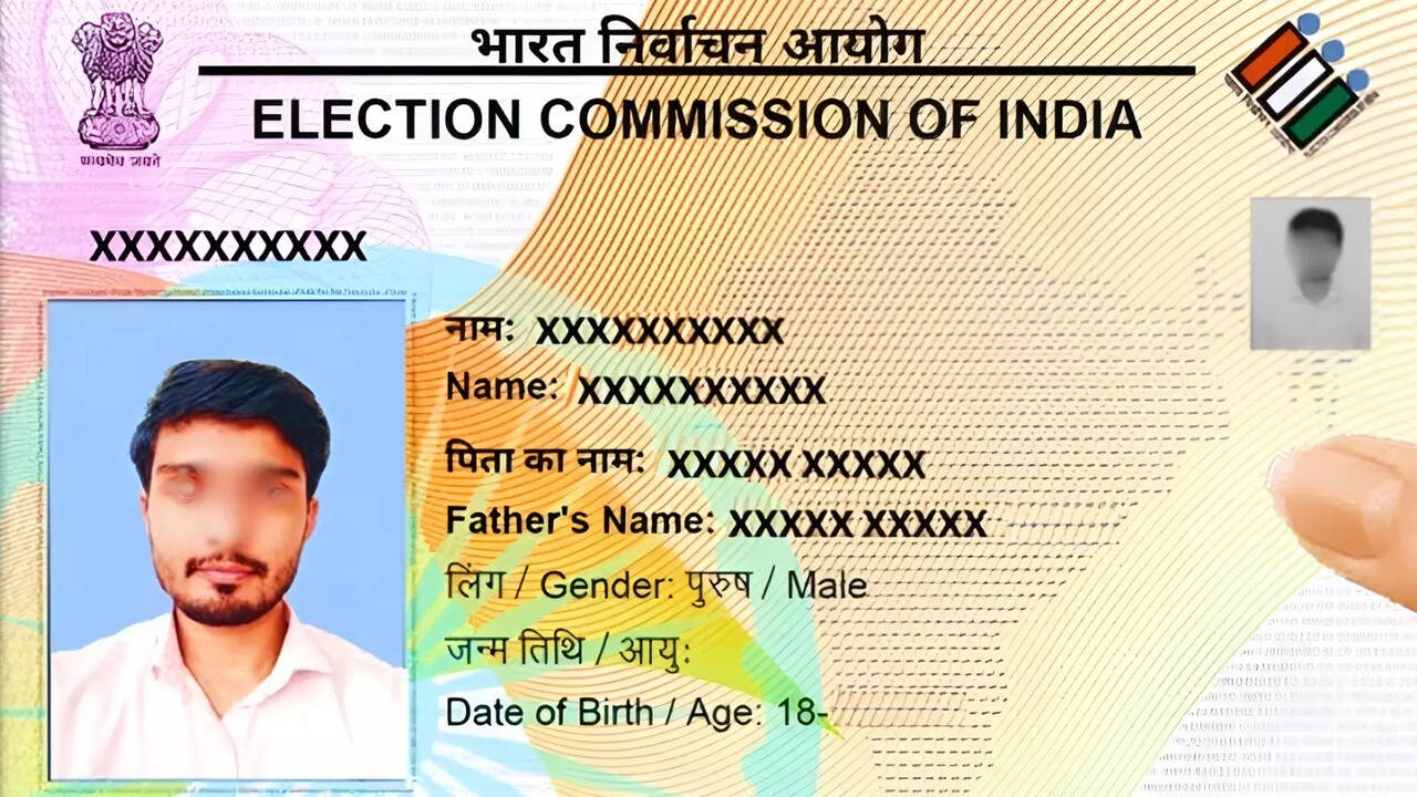 Hack of the day: Need a digital copy of your voter card? Do it instantly -  The Times of India