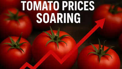 Why are tomato prices soaring? Retail prices shoot up 50% in a fortnight - here’s what’s driving the rise