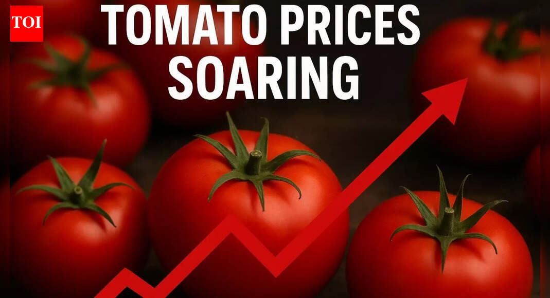 Why are tomato prices soaring? Retail prices shoot up 50% - here’s what’s driving the rise