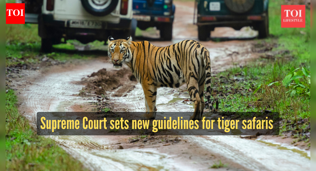 No tiger safaris in core habitats, no night tourism: Supreme Court issues strict guidelines