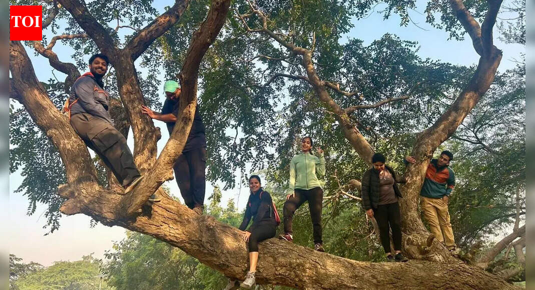 Away from the city, hikers find clean air