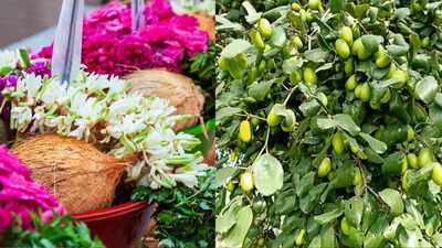 4 Mystical fruits from the books of Hindu mythology