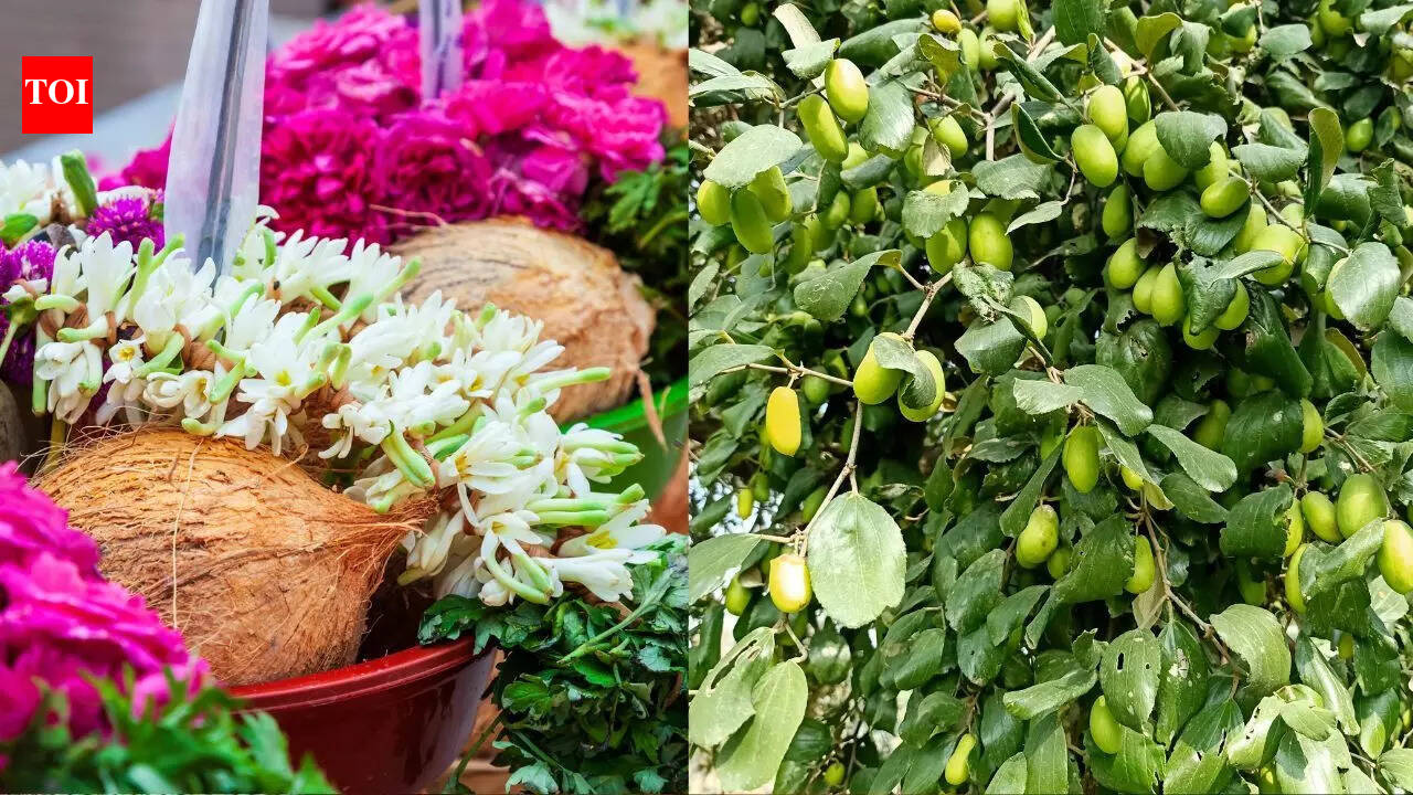 4 Mystical fruits from the books of Hindu mythology