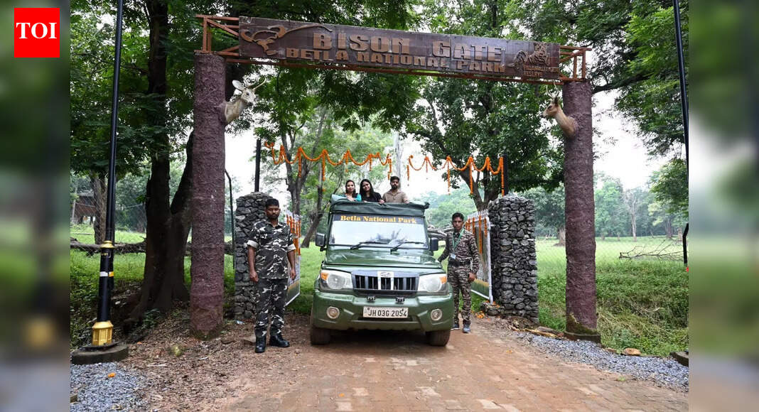 With 5,000 visitors in a month, jungle safari in Betla National Park a hit among tourists