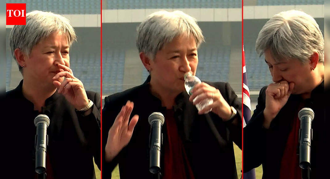 Delhi's Pollution Forces Australian Foreign Minister Penny Wong To Cough, Stop Her Speech Midway
