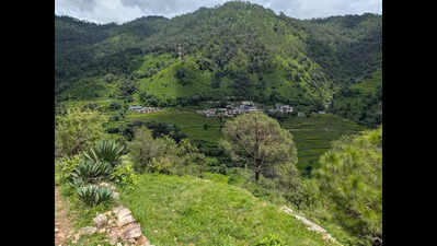 4,000 residents offline as phone signals remain out of reach