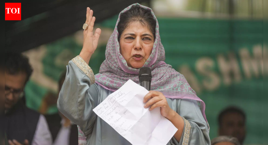 'Our youth are being profiled': Mehbooba flags harassment of Kashmiris; urges Omar to talk to Centre