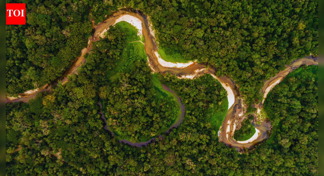 <div>Germany pledges €1 billion to Brazil's rainforest fund</div>