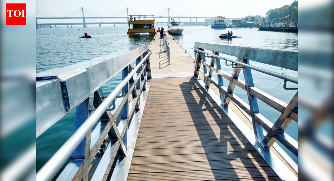 NGT pulls up Goa over unauthorised jetties, orders rapid action