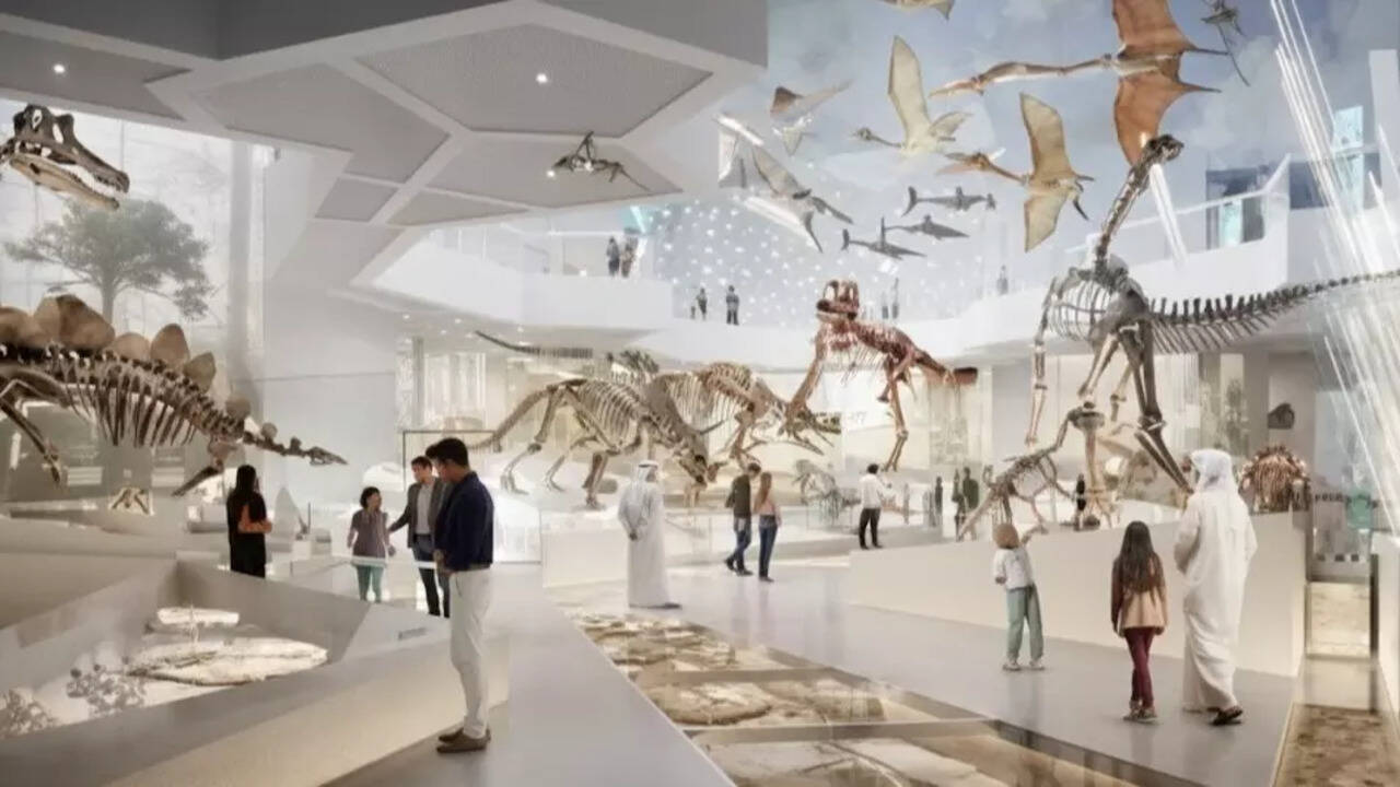 Abu Dhabi Natural History Museum: The biggest science landmark opens 22 Nov | World News - The Times of India