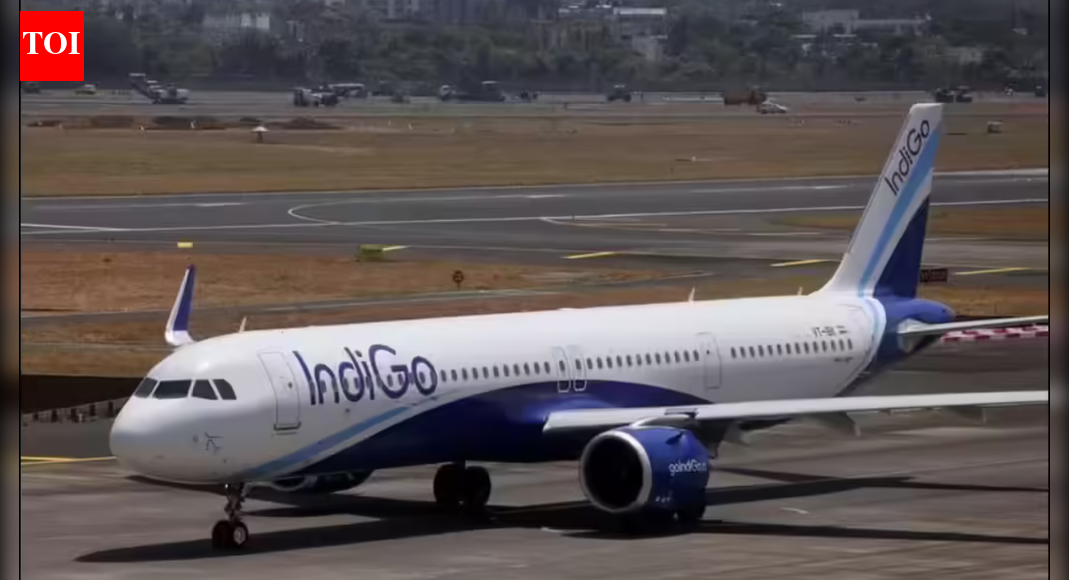 IndiGo invierte $820 millones para fortalecer su flota y reducir costos operativos