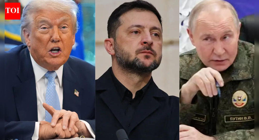 <div>'Painful concessions': Zelenskyy on Donald Trump's 28-point Russia-Ukraine peace plan; what's proposed</div>