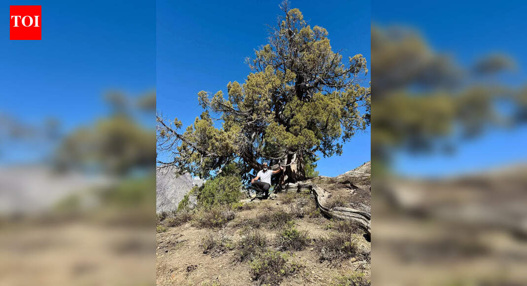 2,032 years & still standing!