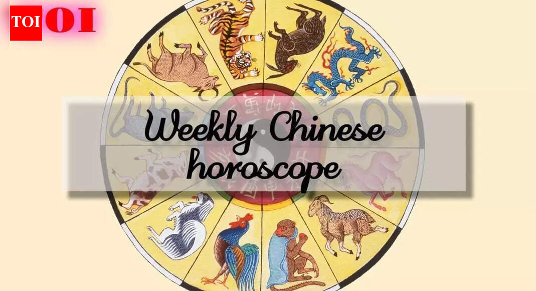 Chinese Zodiac Weekly Horoscope (November 24-30, 2025): These Zodiac Signs Are Headed for a Wake-Up Call