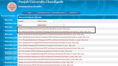 PU result 2025: Panjab University BA 2nd semester and B.Sc. Fashion Technology 4th semester scores out at results.puexam.in – The Times of India