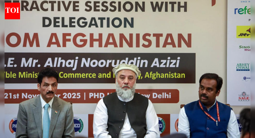 'Very soon': India-Afghanistan air cargo flights to commence, says MEA official; Delhi, Amritsar-Kabul routes planned