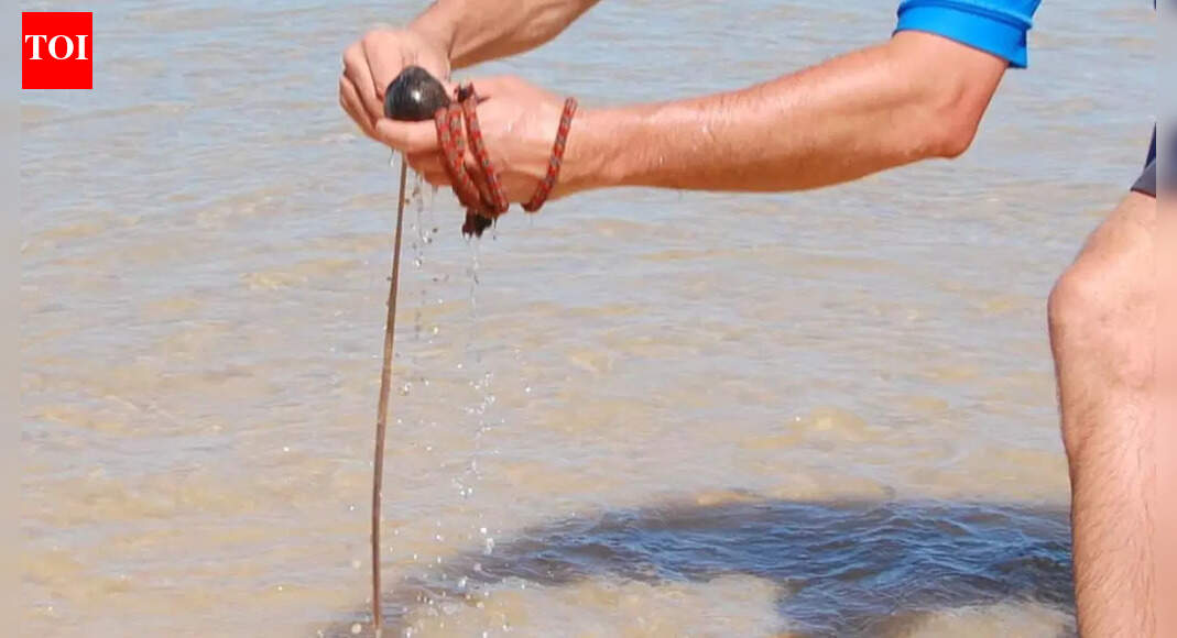 How beachworms keep Australia’s beaches alive, balanced and biologically rich