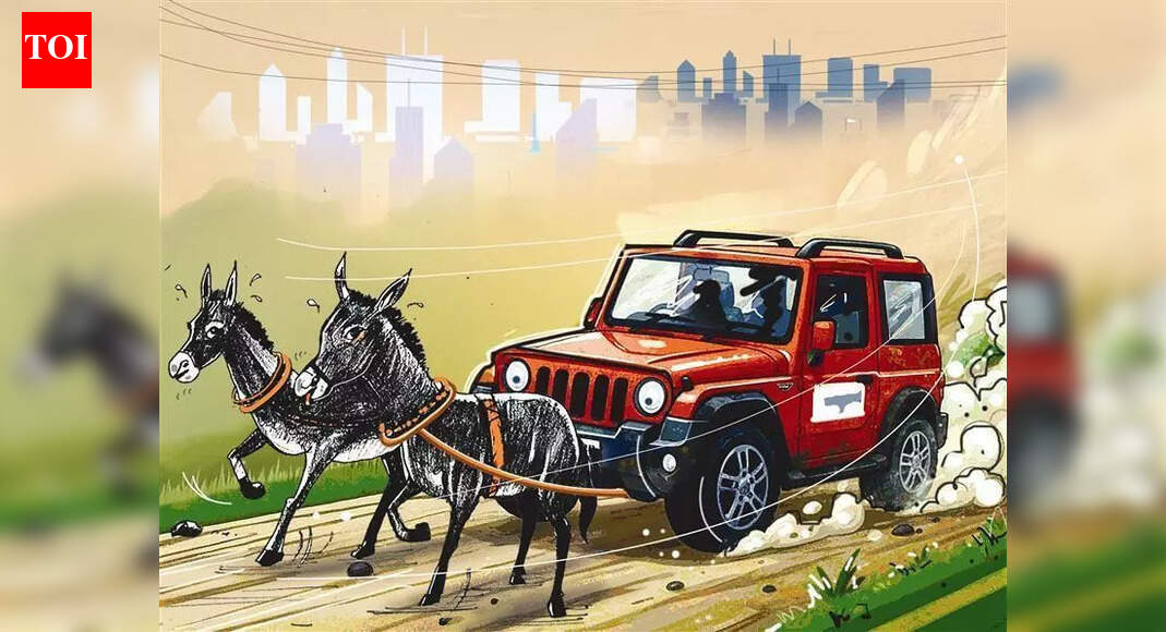 Animal rights group seeks anti-cruelty action after donkeys used to pull SUV for ‘protest’