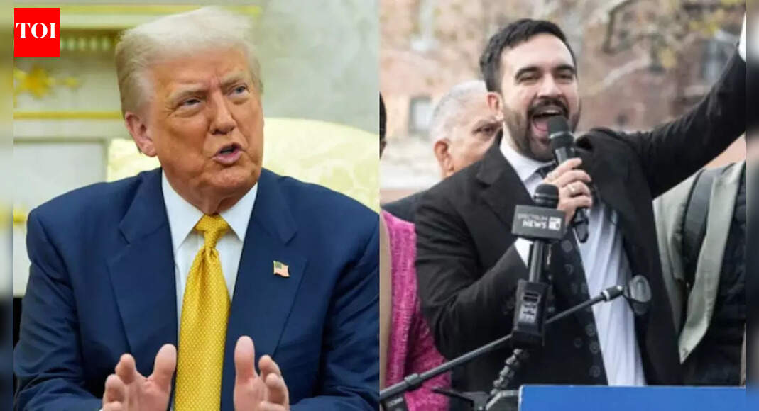 <div>MAGA vs socialism: Why Zohran Mamdani's meeting with Donald Trump is a big deal</div>