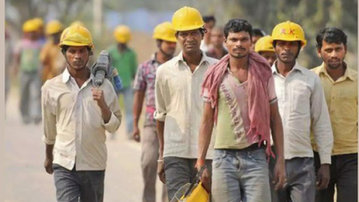 Minimum wage to social security, labour reforms set for rollout