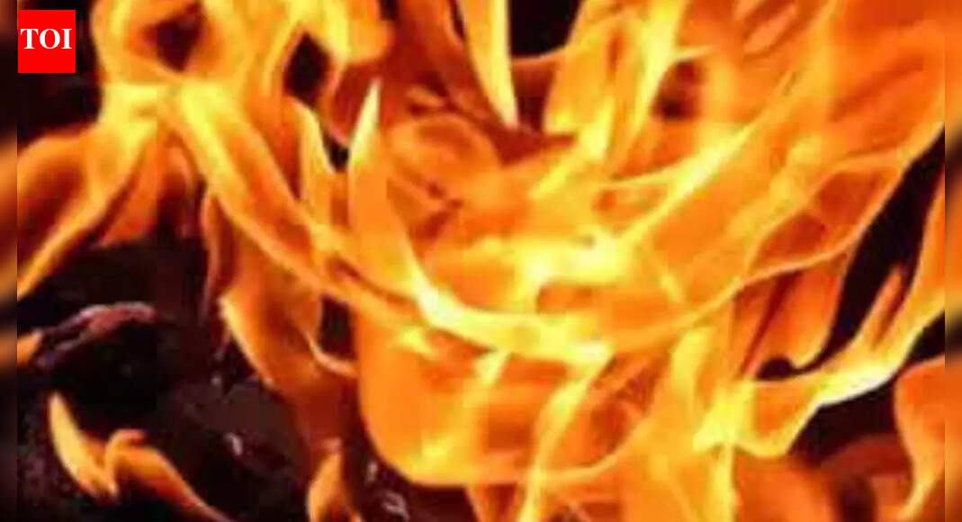 23-year-old Hyderabad student among 6 injured in US apartment fire; family seeks emergency visa