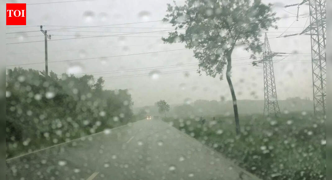 IMD forecasts heavy to very heavy rainfall for Kerala, Tamil Nadu and Andamans; travellers advised to prepare