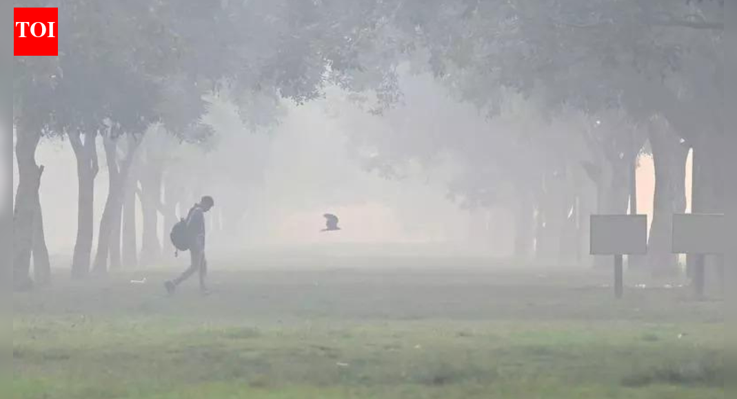 Delhi breathes very poor air on 16 of 21 days in November