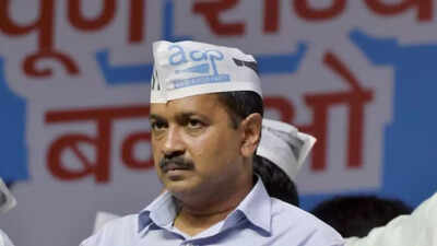 AAP announces 22 candidates for Goa Zilla Panchayat polls, to contest all 50 seats