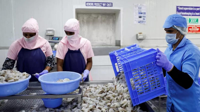 Shrimp exports shift: India gains in non-US markets; tariff surge in America threatens FY26 momentum – The Times of India