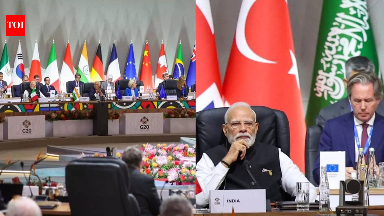 At G20 Summit, PM Modi Proposes Global Knowledge, Skills, Health And ...