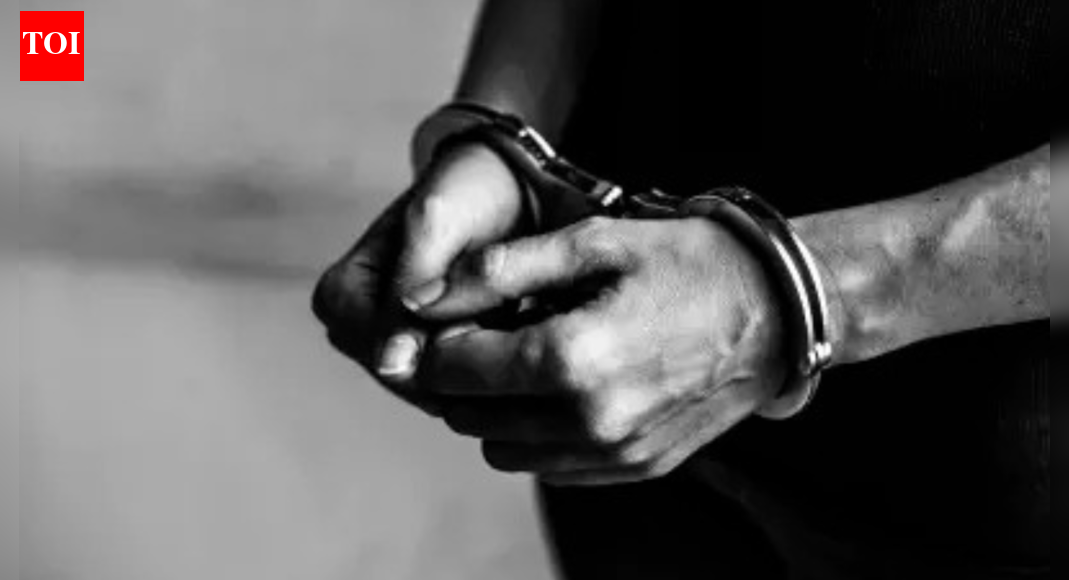 J&K: Man arrested in connection with 'white collar' terror module in Srinagar