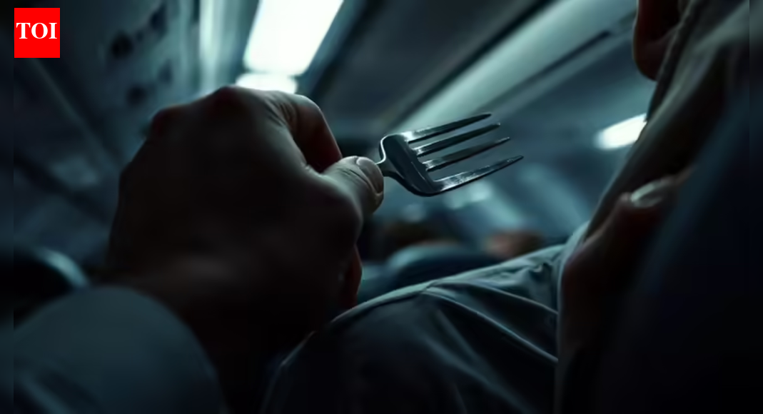 Indian student who stabbed two teenagers with fork mid-flight indicted in Boston; faces up to 10 years, 0,000 fine