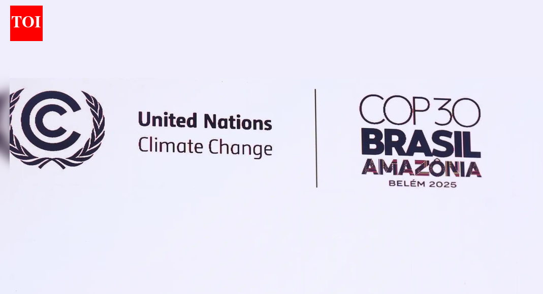 COP30 ends agrees to triple adaptation funds but fails on fossil fuels phase-out roadmap