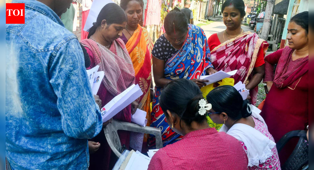 One Guj BLO dead, another in hospital, 3rd threatens suicide: Stress under scrutiny