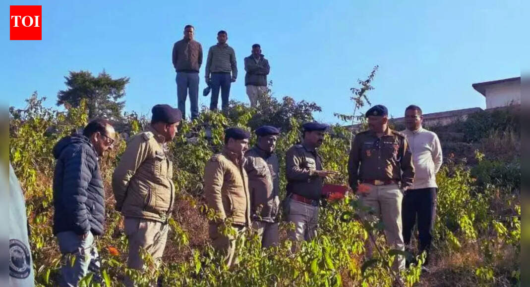 Uttarakhand on alert: 20kg explosives, 161 gelignite sticks found near Almora schools; key details