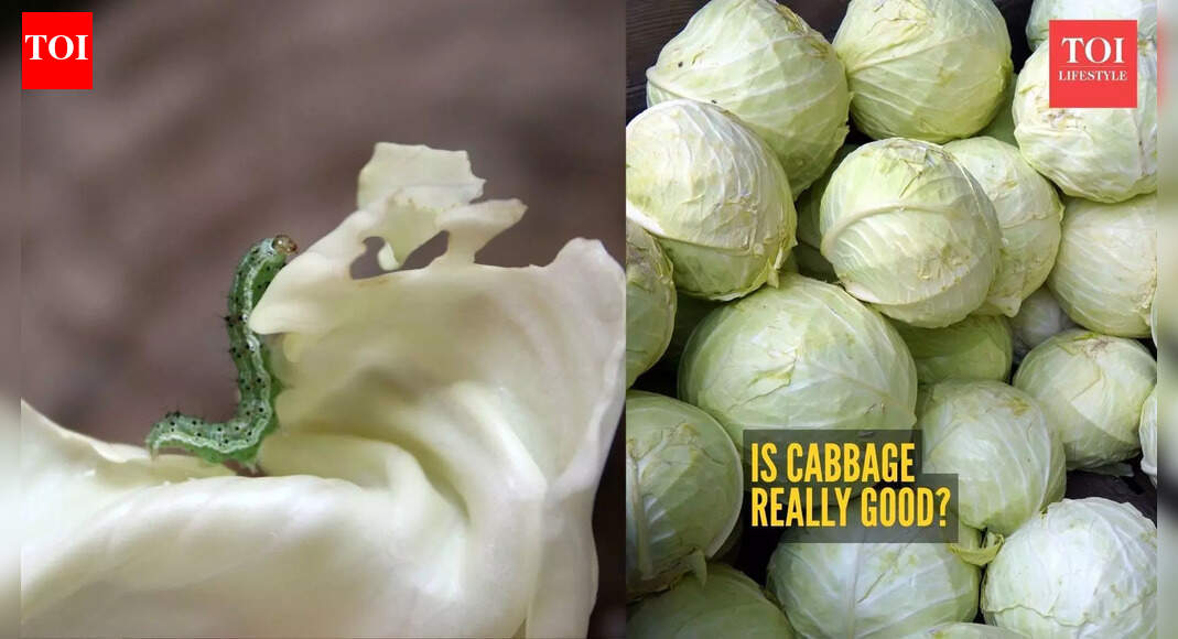 Is Patta Gobi bad for health? This is what makes it a dangerous veggie