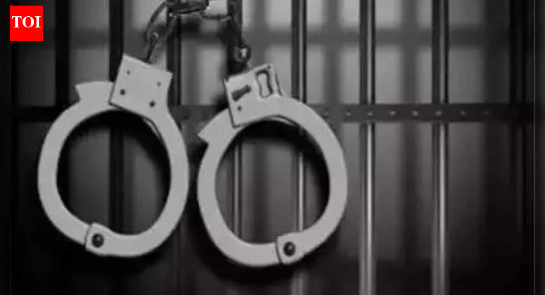 UAE national arrested for illegal border crossing bid