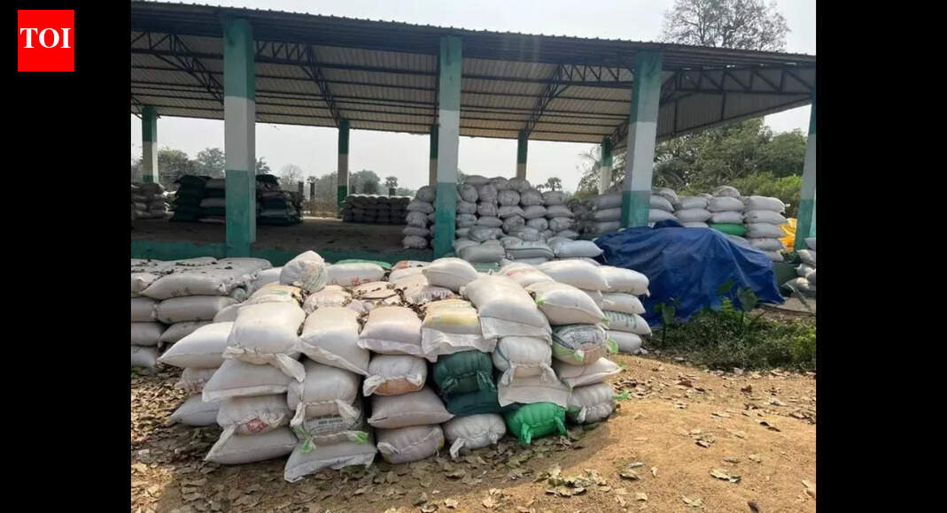 Rayagada to begin paddy procurement in Dec with 73,200 MT target