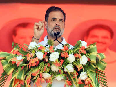 'Country in chaos': Rahul slams SIR after BLOs death; calls roll revision 'imposed tyranny'