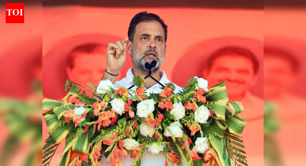 'Country in chaos': Rahul slams SIR after BLOs death; calls revision 'imposed tyranny'