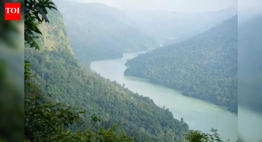 Project in Sharavathi valley violates ESZ norms: Activist