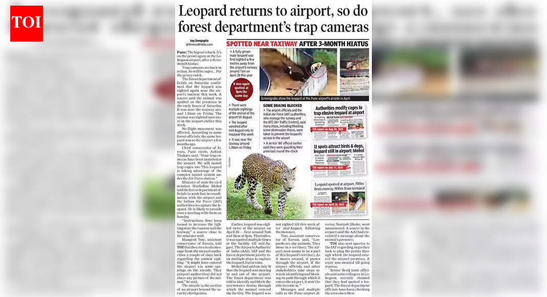 Forest dept considers tranquiliser guns to capture Pune airport leopard’