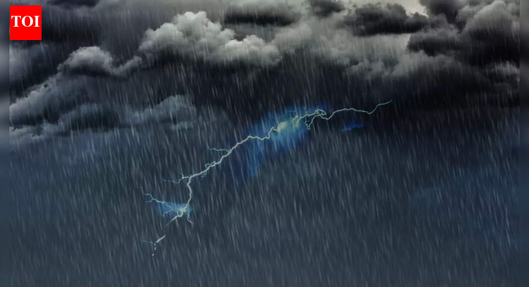 IMD weather update: Heavy rainfall set to impact travel across southern India and the Andaman region