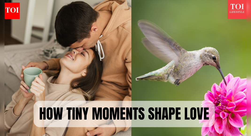 The “bird theory”: Why small moments decide the future of your relationship
