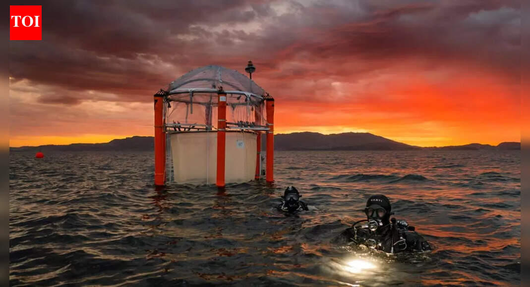 Oceans in danger! EU warns ocean carbon removal once seen as a ‘miracle climate cure’ may turn into a global threat