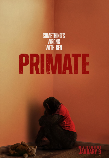 Primate