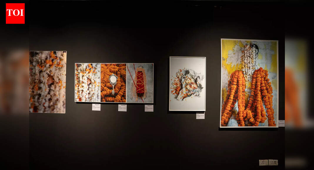 Five lenses, one world: A contemporary exploration of perspective