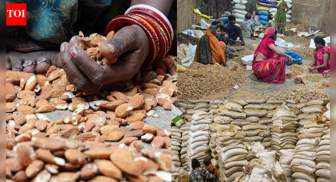 The grind behind your dry fruit: Women crack almonds in dusty workshops; earn barely Rs 3 per kg in Delhi's Karawal Nagar