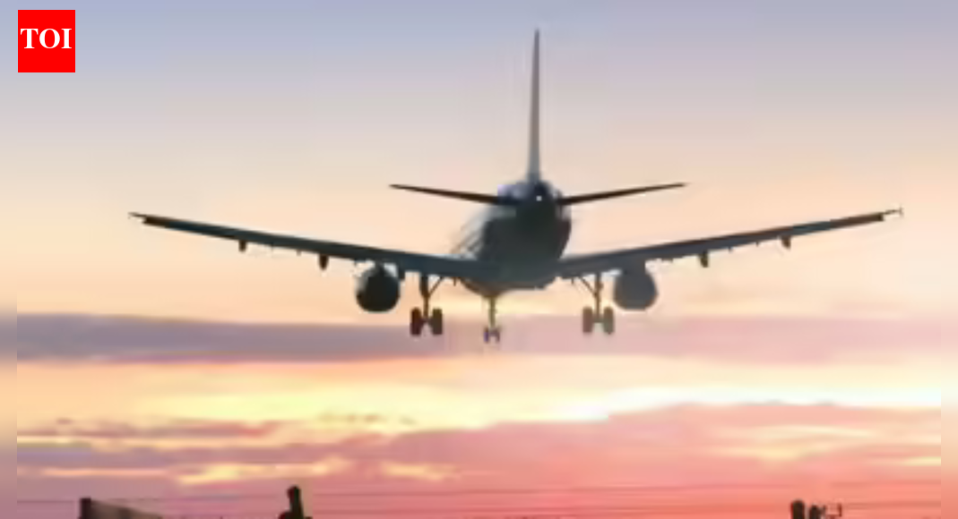 Ethiopia volcano ash plumes: IndiGo flight to Abu Dhabi diverts to Ahmedabad